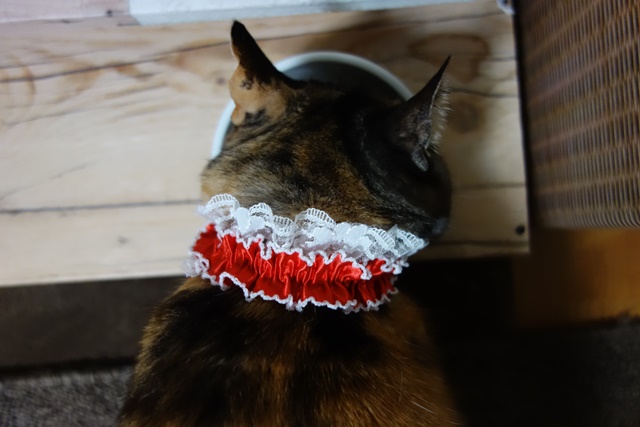 f:id:hiraryo0201:20170409214848j:plain f:id:hiraryo0201:20170409214848j:plain