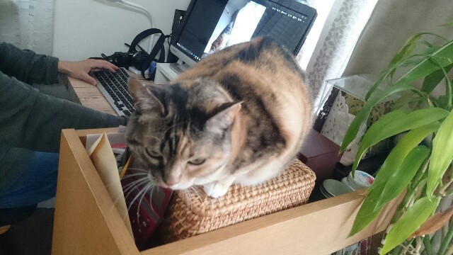 f:id:hiraryo0201:20170409214950j:image f:id:hiraryo0201:20170409214950j:image