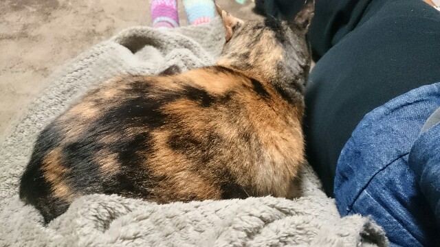 f:id:hiraryo0201:20170409215026j:image f:id:hiraryo0201:20170409215026j:image