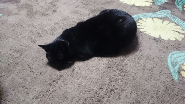 f:id:hiraryo0201:20170421161740j:image f:id:hiraryo0201:20170421161740j:image