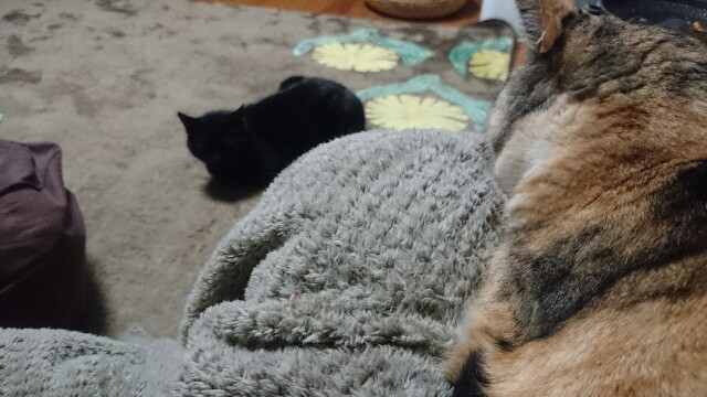 f:id:hiraryo0201:20170421161751j:image f:id:hiraryo0201:20170421161751j:image