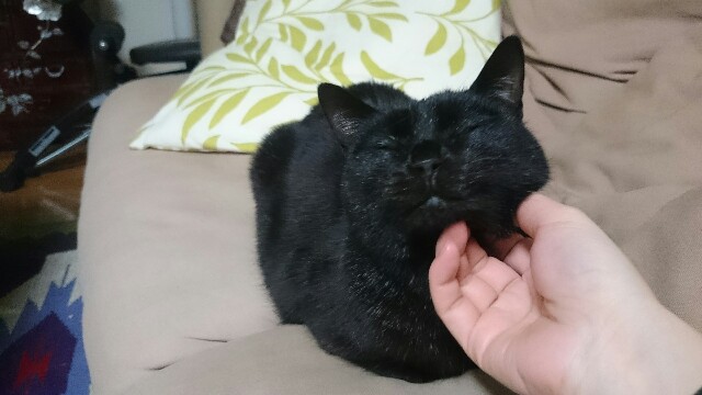 f:id:hiraryo0201:20170421210717j:image