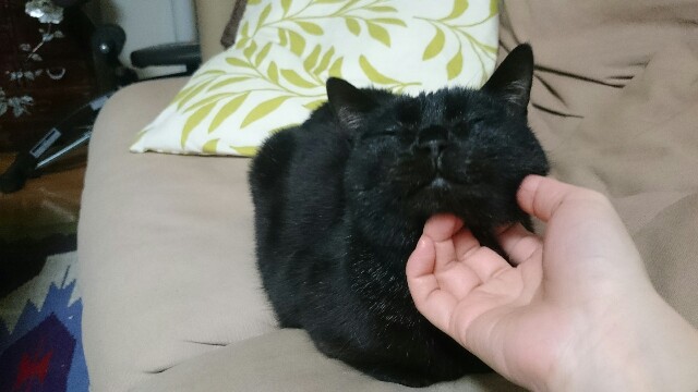 f:id:hiraryo0201:20170421210730j:image