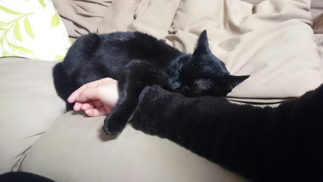 f:id:hiraryo0201:20170421210746j:image