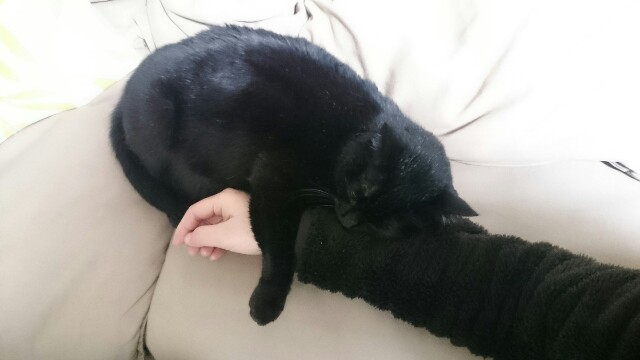 f:id:hiraryo0201:20170421210821j:image