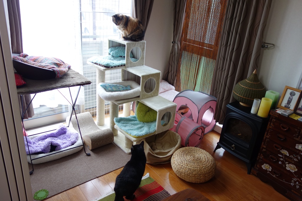 f:id:hiraryo0201:20170430085427j:plain