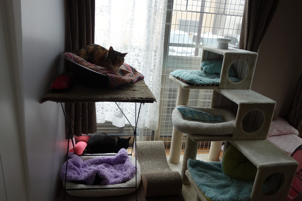 f:id:hiraryo0201:20170430085452j:plain