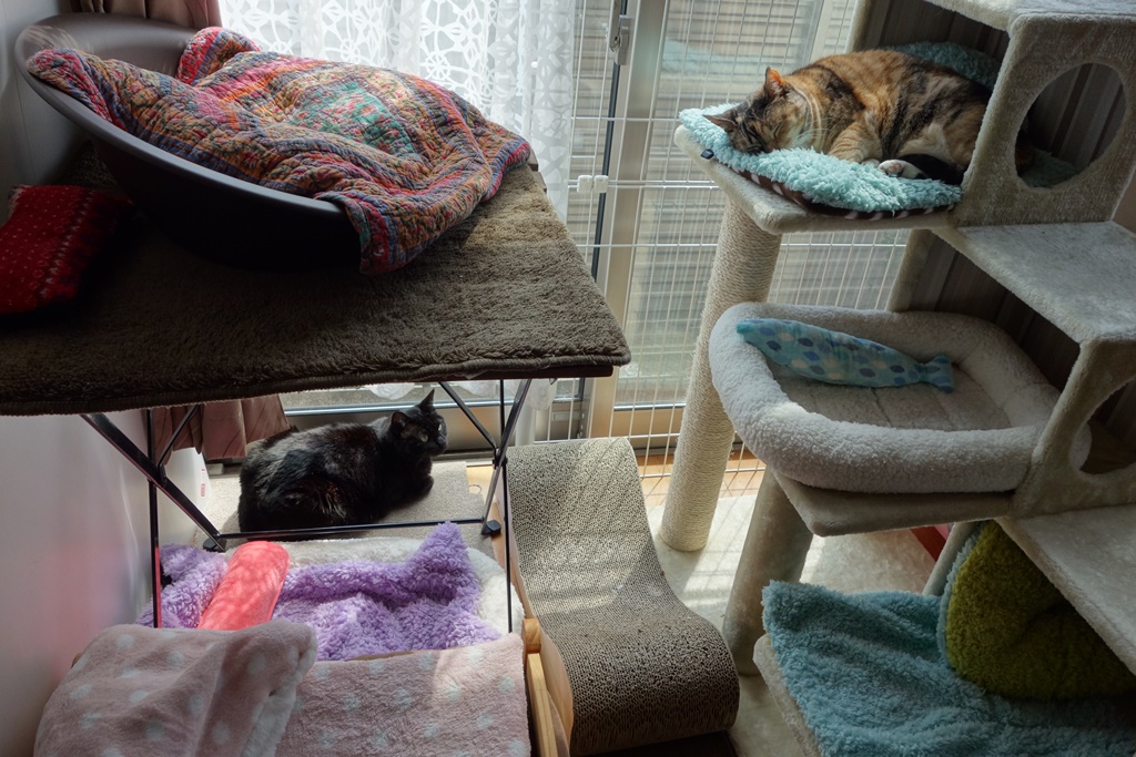 f:id:hiraryo0201:20170430085624j:plain