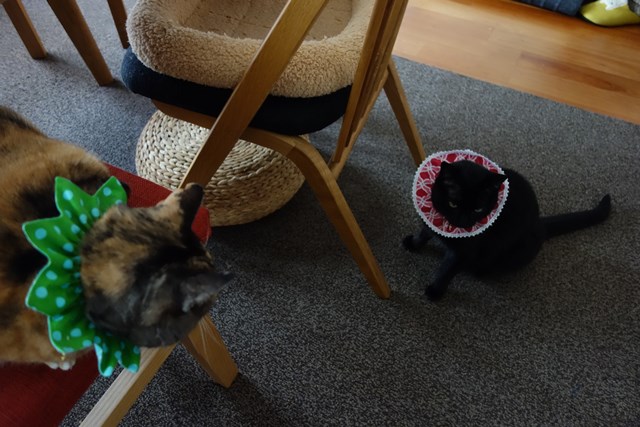 f:id:hiraryo0201:20170507091124j:plain