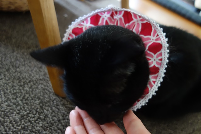 f:id:hiraryo0201:20170507091713j:plain