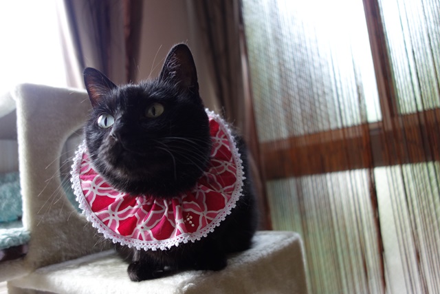 f:id:hiraryo0201:20170507092632j:plain