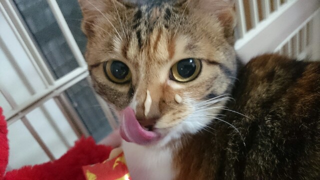 f:id:hiraryo0201:20170507094306j:image f:id:hiraryo0201:20170507094306j:image