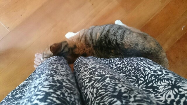 f:id:hiraryo0201:20170507094635j:image f:id:hiraryo0201:20170507094635j:image