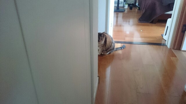 f:id:hiraryo0201:20170507095059j:image f:id:hiraryo0201:20170507095059j:image