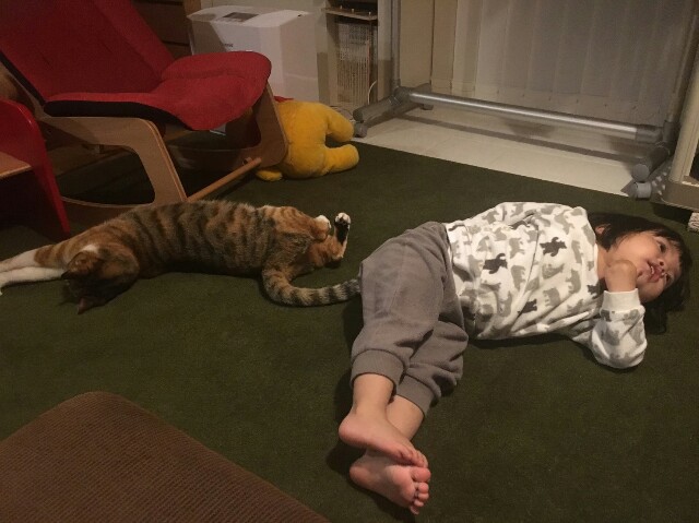 f:id:hiraryo0201:20170509191717j:image f:id:hiraryo0201:20170509191717j:image