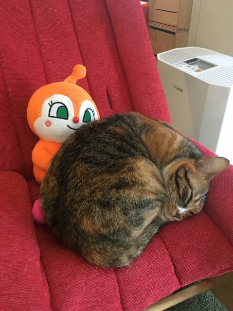 f:id:hiraryo0201:20170509191845j:image f:id:hiraryo0201:20170509191845j:image