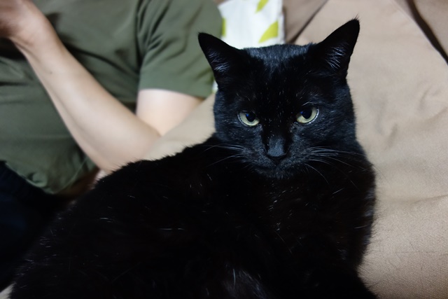 f:id:hiraryo0201:20170513120930j:plain