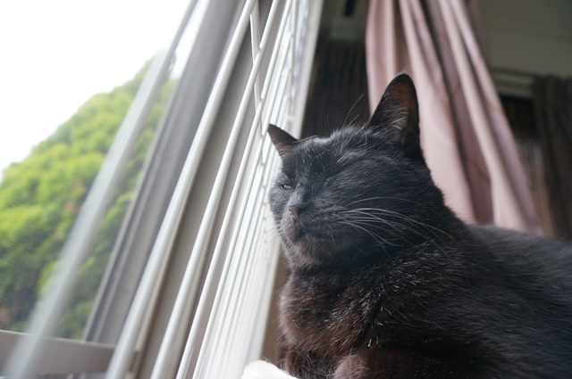 f:id:hiraryo0201:20170521021600j:plain