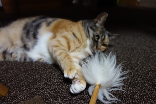 f:id:hiraryo0201:20170521092803j:plain f:id:hiraryo0201:20170521092803j:plain