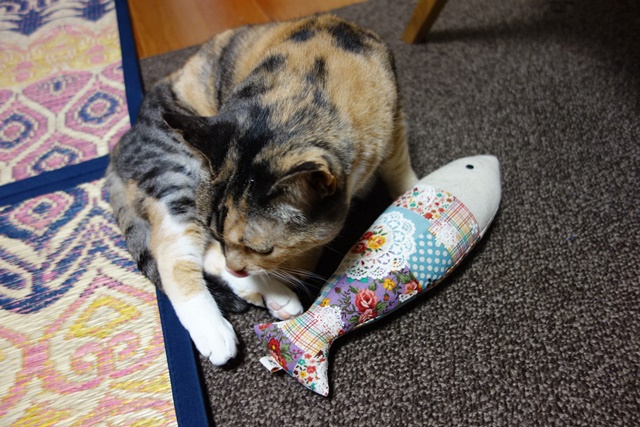 f:id:hiraryo0201:20170521092827j:plain f:id:hiraryo0201:20170521092827j:plain