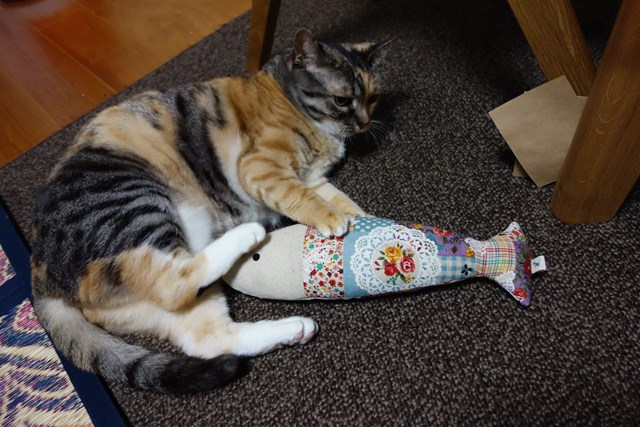 f:id:hiraryo0201:20170521092835j:plain f:id:hiraryo0201:20170521092835j:plain