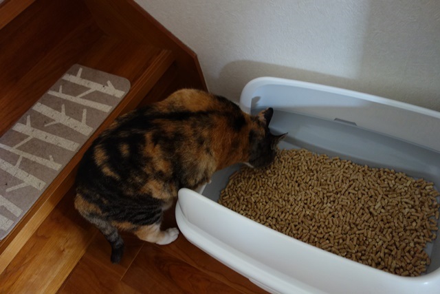 f:id:hiraryo0201:20170521092916j:plain f:id:hiraryo0201:20170521092916j:plain