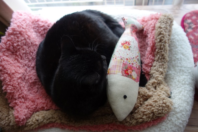 f:id:hiraryo0201:20170524204410j:plain f:id:hiraryo0201:20170524204410j:plain