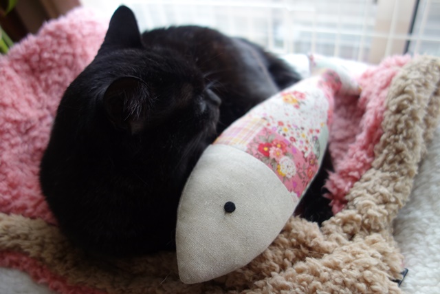 f:id:hiraryo0201:20170524204416j:plain f:id:hiraryo0201:20170524204416j:plain