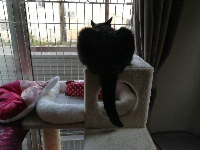 f:id:hiraryo0201:20170528182000j:image f:id:hiraryo0201:20170528182000j:image