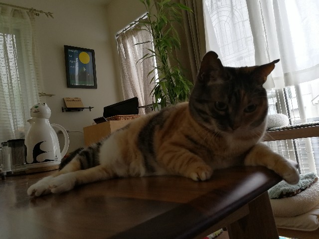 f:id:hiraryo0201:20170603114254j:plain f:id:hiraryo0201:20170603114254j:plain