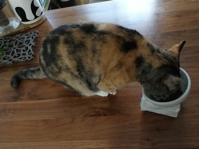 f:id:hiraryo0201:20170603114318j:plain f:id:hiraryo0201:20170603114318j:plain