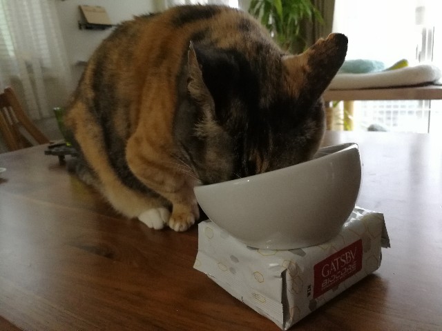 f:id:hiraryo0201:20170603114338j:plain f:id:hiraryo0201:20170603114338j:plain