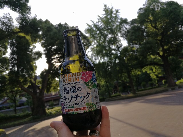 f:id:hiraryo0201:20170618135351j:image