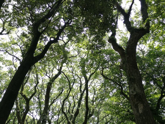 f:id:hiraryo0201:20170625190855j:image