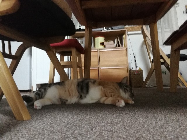 f:id:hiraryo0201:20170703075301j:image