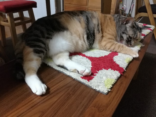 f:id:hiraryo0201:20170703075323j:image