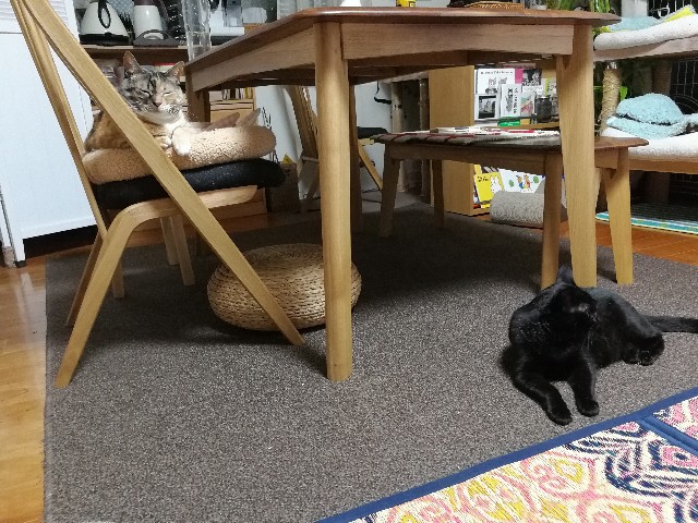 f:id:hiraryo0201:20170703075727j:plain