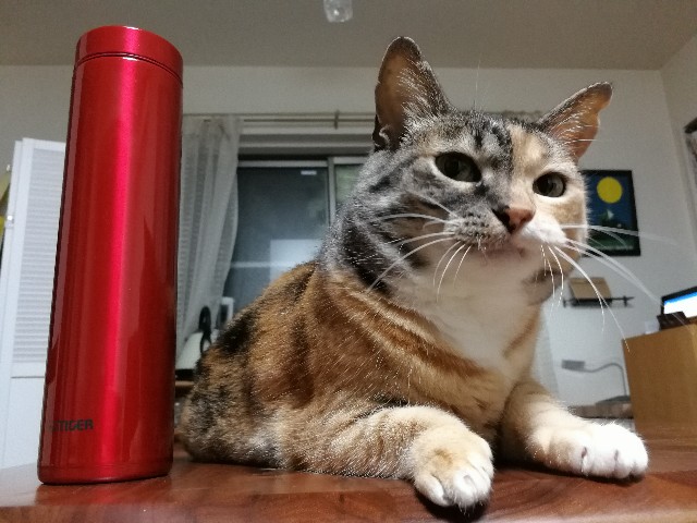 f:id:hiraryo0201:20170704191048j:image f:id:hiraryo0201:20170704191048j:image