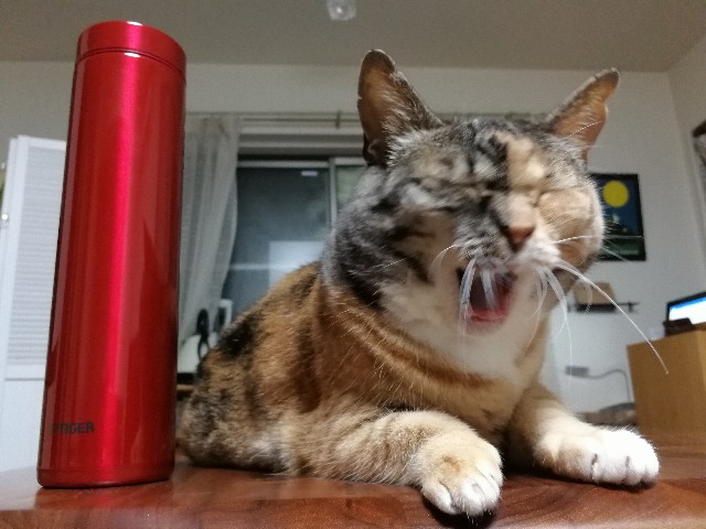 f:id:hiraryo0201:20170704191108j:image f:id:hiraryo0201:20170704191108j:image