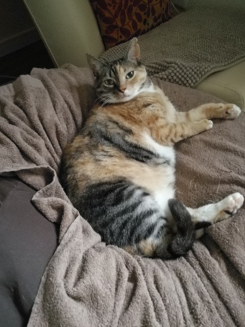 f:id:hiraryo0201:20170706080135j:image