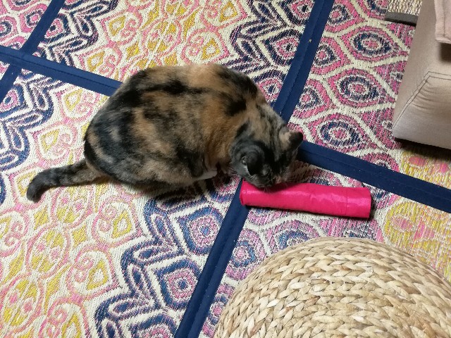 f:id:hiraryo0201:20170706080358j:image