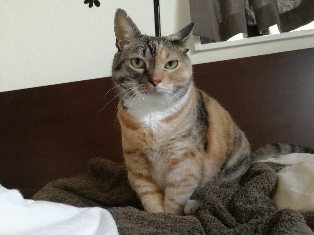 f:id:hiraryo0201:20170713074807j:image f:id:hiraryo0201:20170713074807j:image