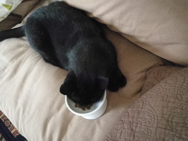 f:id:hiraryo0201:20170714192524j:image f:id:hiraryo0201:20170714192524j:image