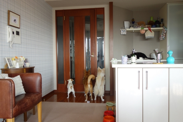 f:id:hiraryo0201:20170720200349j:plain f:id:hiraryo0201:20170720200349j:plain