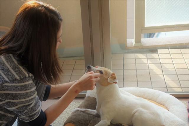 f:id:hiraryo0201:20170720202010j:plain f:id:hiraryo0201:20170720202010j:plain