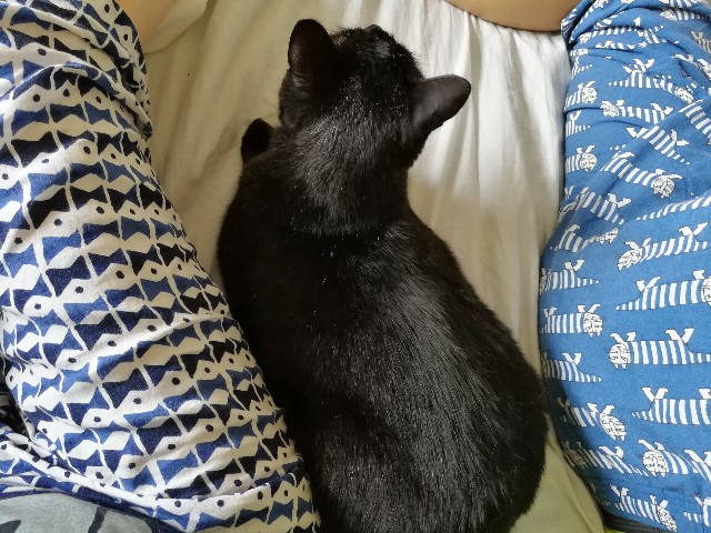 f:id:hiraryo0201:20170723110832j:image f:id:hiraryo0201:20170723110832j:image