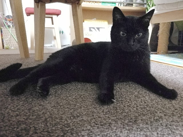 f:id:hiraryo0201:20170725203032j:image f:id:hiraryo0201:20170725203032j:image