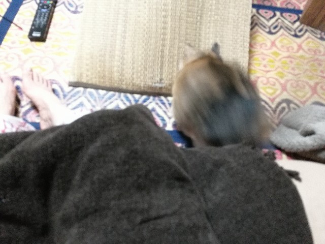 f:id:hiraryo0201:20170728124652j:image f:id:hiraryo0201:20170728124652j:image