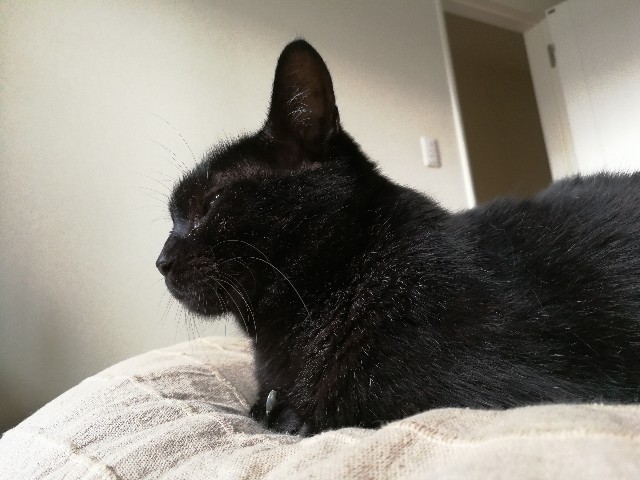 f:id:hiraryo0201:20170729073414j:plain f:id:hiraryo0201:20170729073414j:plain