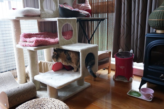 f:id:hiraryo0201:20170730172740j:plain f:id:hiraryo0201:20170730172740j:plain